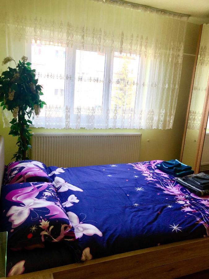 La Symo Apartament Straja Lupeni Lupény Kültér fotó